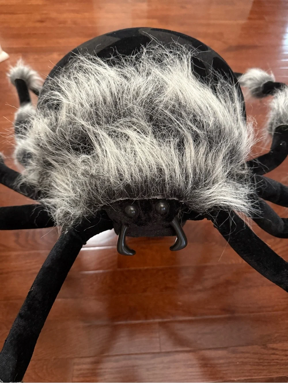 HUGE Halloween Spider Decoration Set